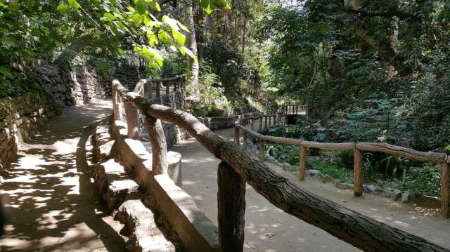 best hike for kids in griffith park los angeles