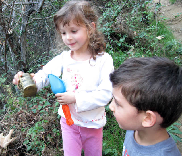 Pirate Treasure Hunt