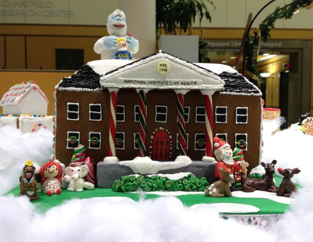 amazing gingerbread houses