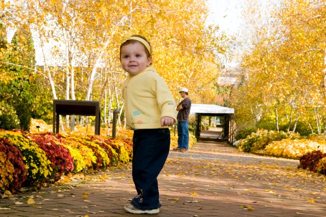 fall strolls in chicago