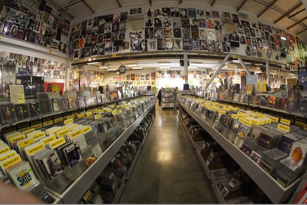 amoebamusic