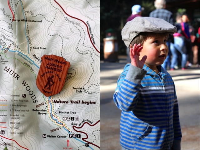 Muir Woods Junior Ranger