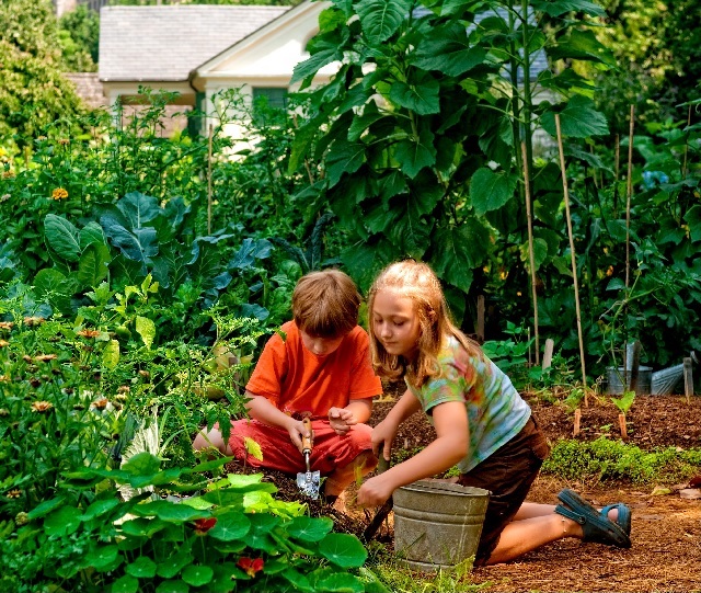 Children's Garden 2014