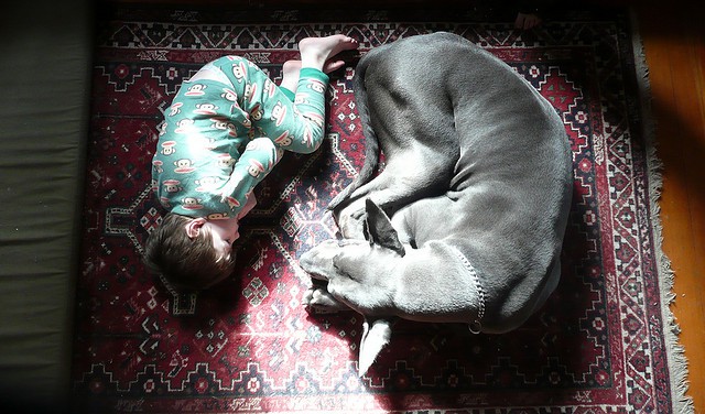 dog_kid_sleeping