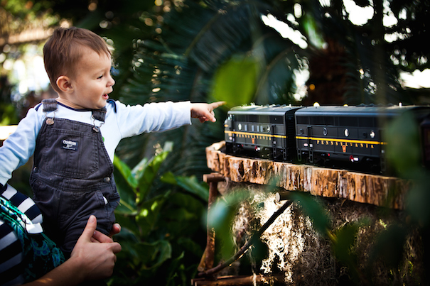 New York Botanical Garden: Tree lighting and Holiday Train Show