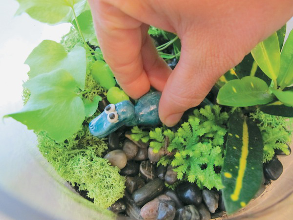 dinosaur-terrarium-photo-2
