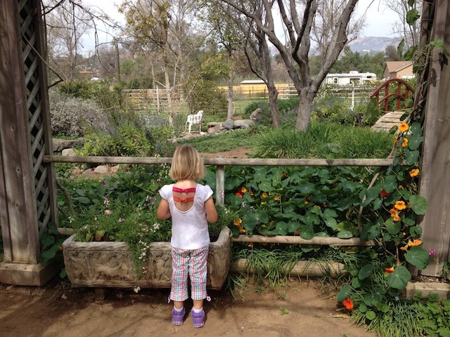 kids exploring Summers Past Farms Best in San Diego