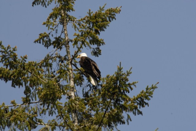 farm and eco tours seattle