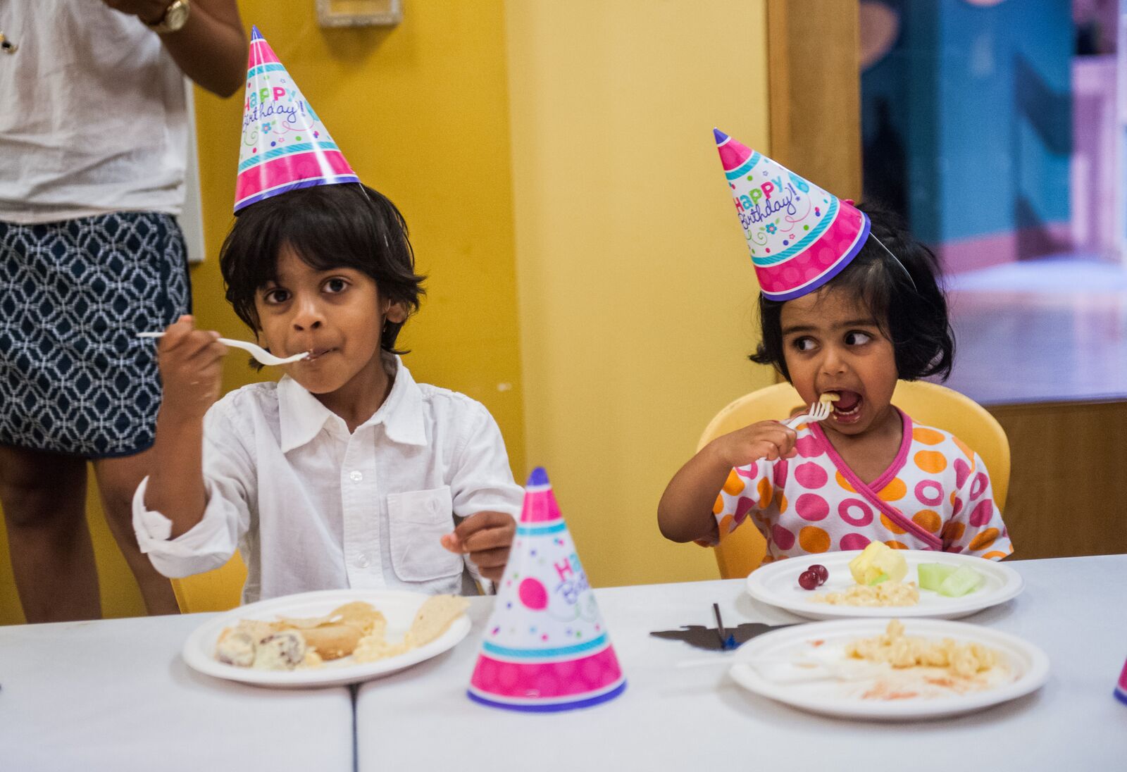 Field Museum Birthday Party