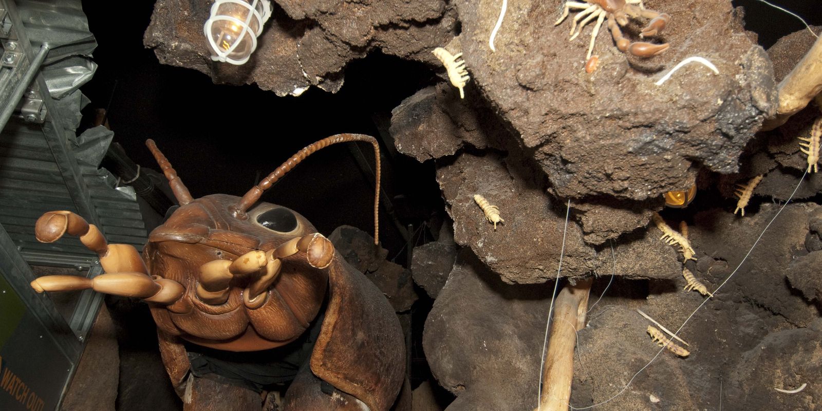 Field Museum Underground