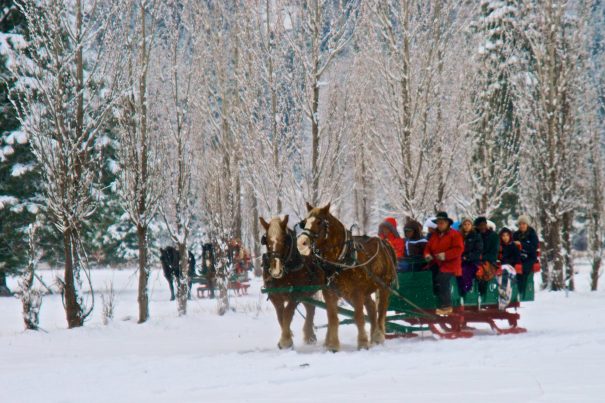 sleigh ride, leavenworth, seattle winter activities