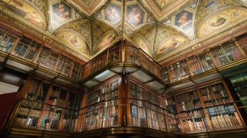 one of the cool museums in NYC is the library museum