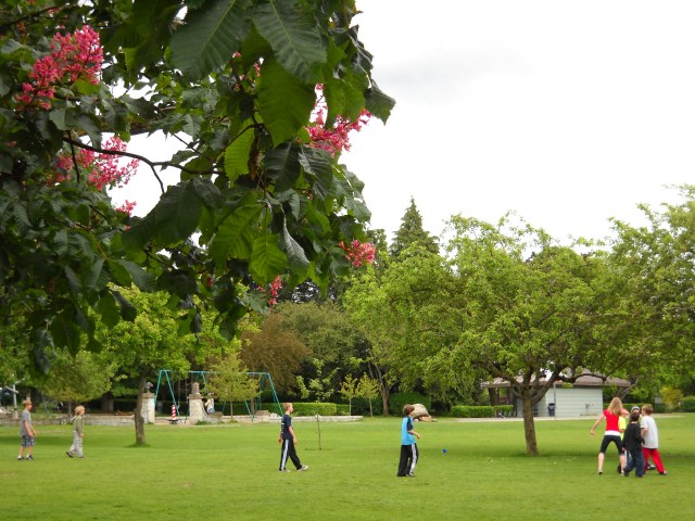 Kids play in the field at Meridian Playground after a family picnic