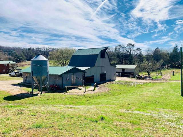 Farm in Tennessee that you can visit with your kids