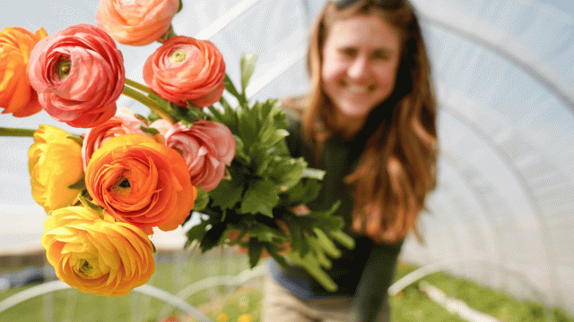 how to be a good neighbor