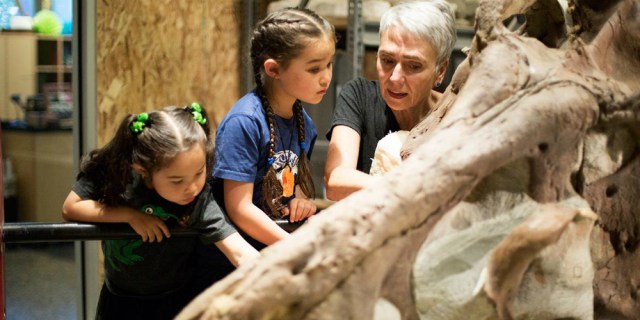 burke museum seattle free days