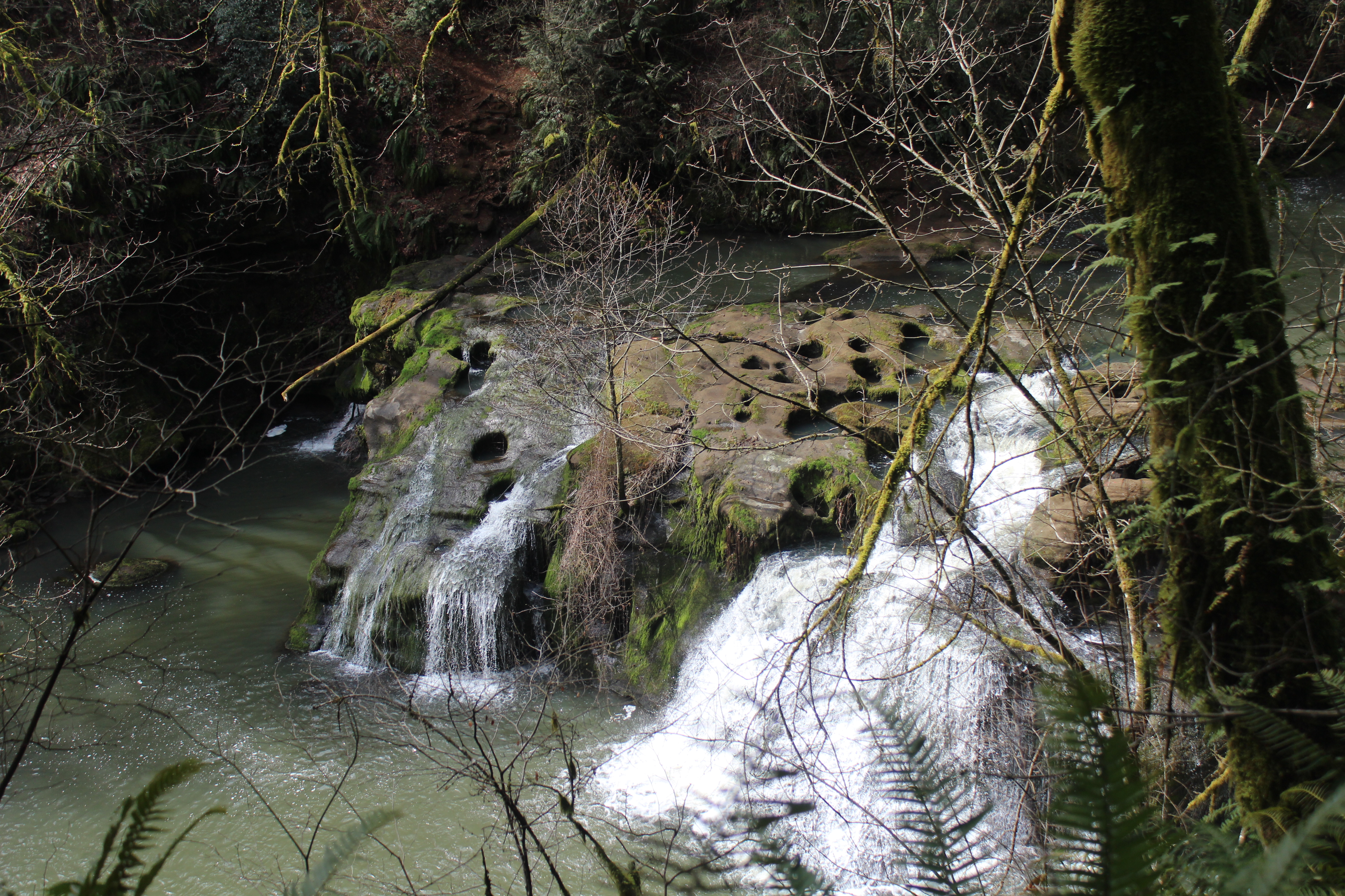 Pothole Falls by Carrie Uffindell
