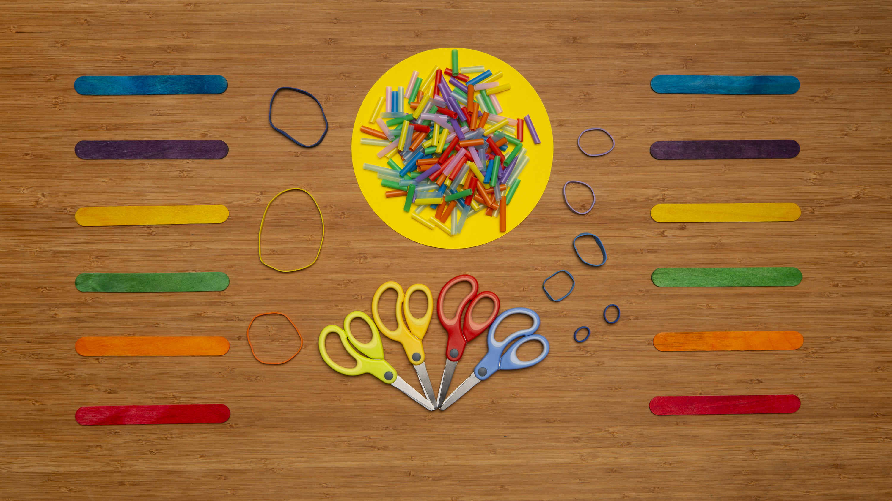 Museum of Science and Industry Summer Brain Games