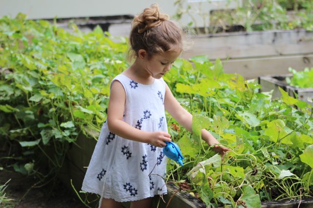 kid gardening in summer