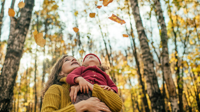 looking at leaves is a fun fall sensory activity for toddlers
