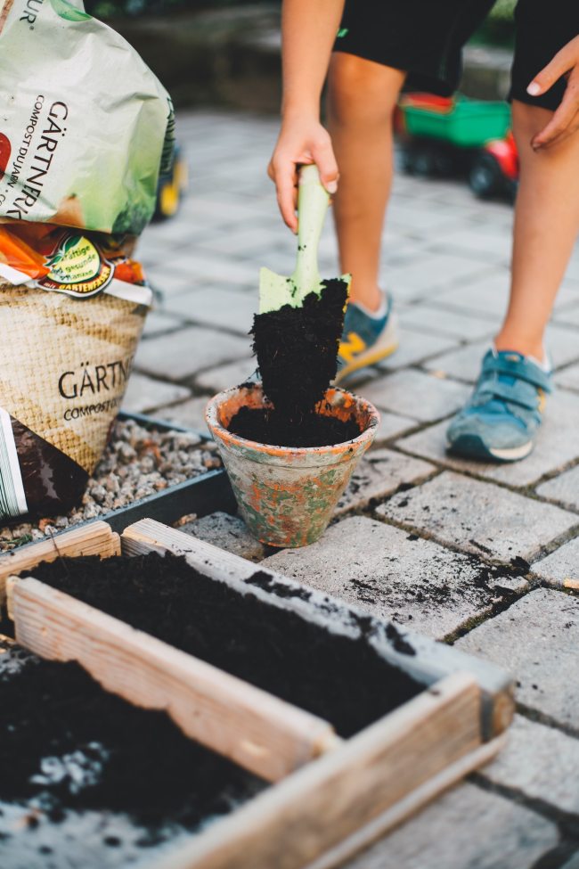 add planting bulbs to your fall bucket list