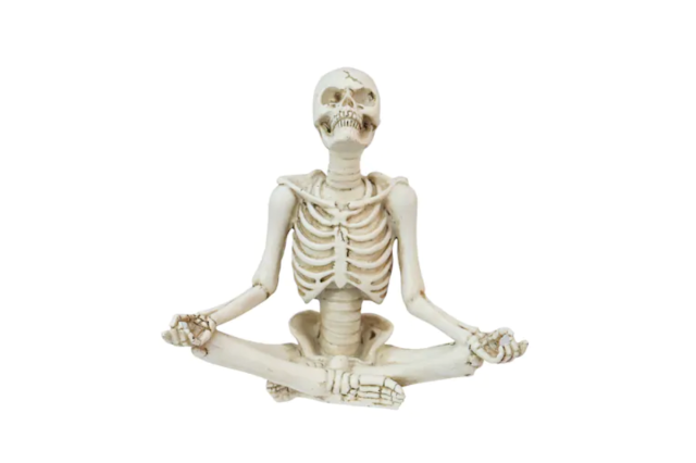 Yoga Skeleton