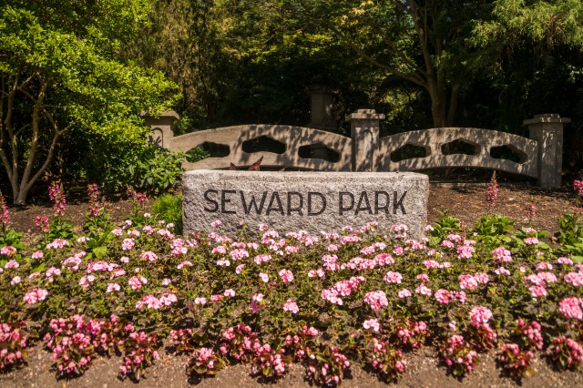 spring blooms seattle, cherry blossoms seattle