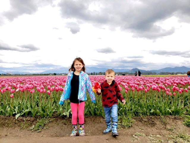 skagit valley tulip festival seattle