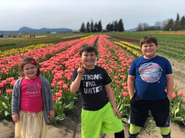 tulip festival seattle skagit valley