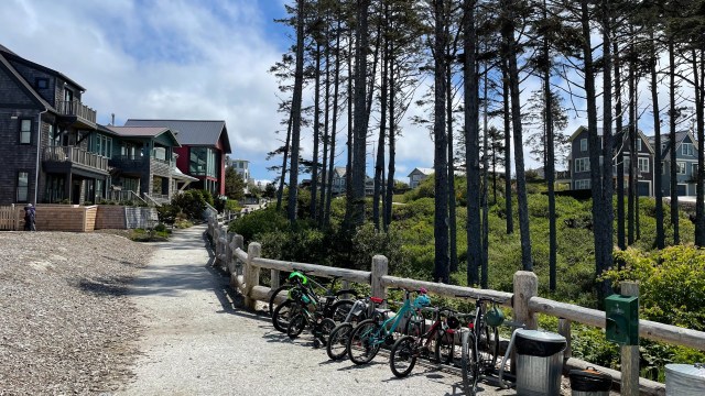 A row of bikes in front of cottages at Seabrook Wa