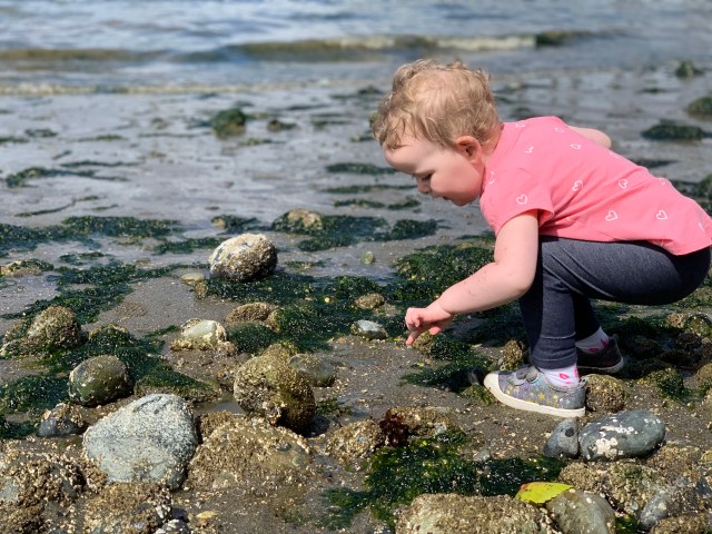 best tidepools near Seattle
