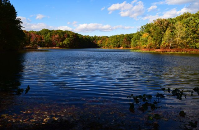 hiking trails for kids near me