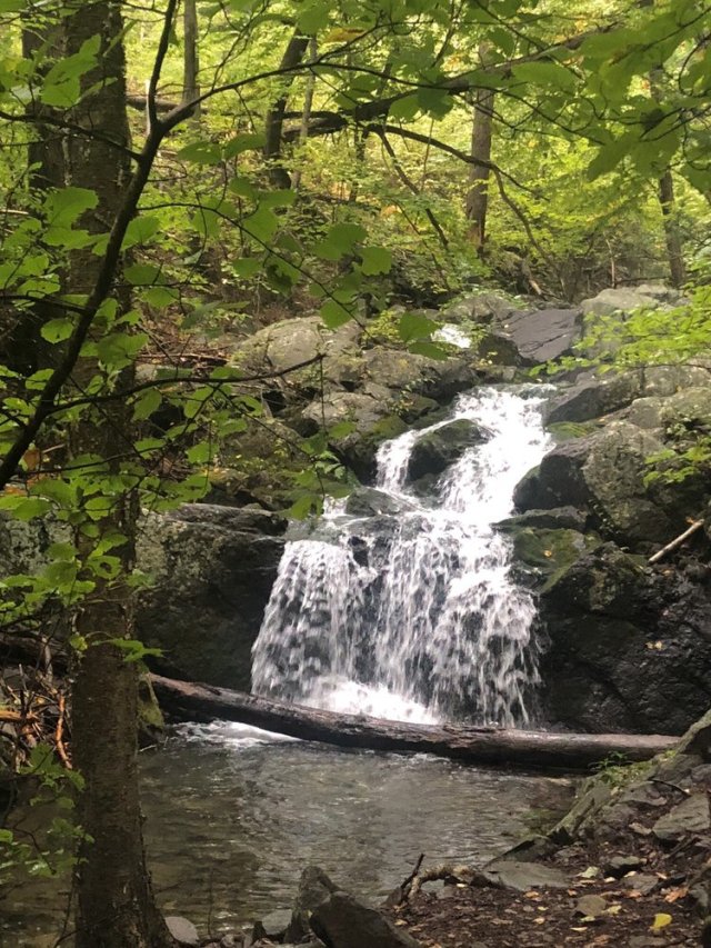 hiking trails for kids