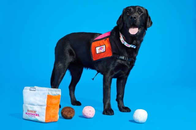 Dunkin' Dog Toys