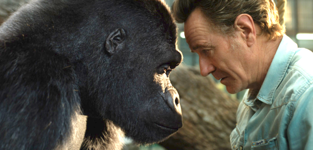 "The One and Only Ivan"