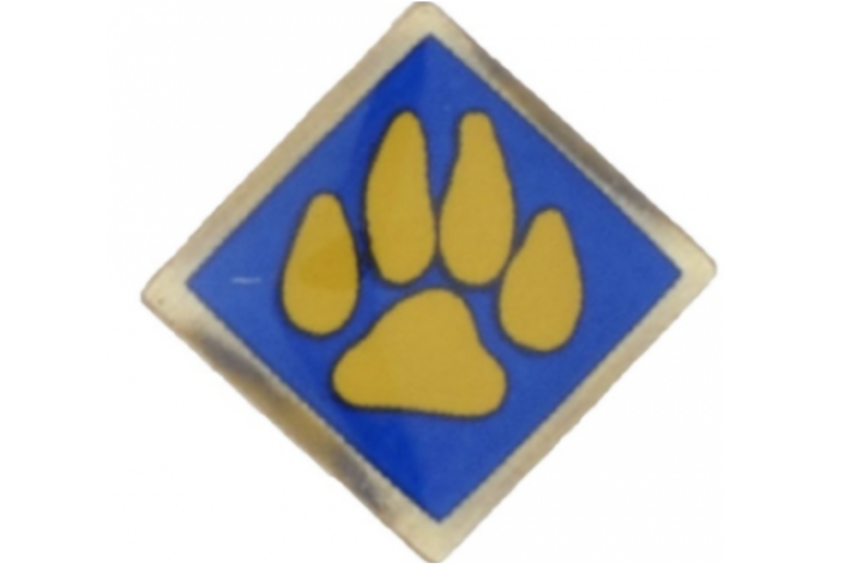 Cub Scout Recall