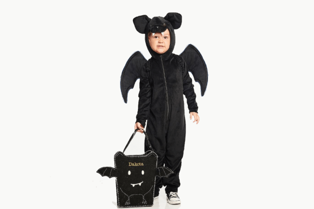 Kids Light Up Wire Bat Halloween Costume
