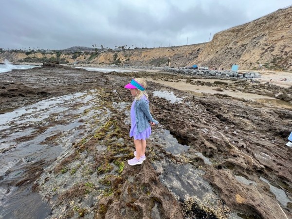 best tide pool beaches around LA