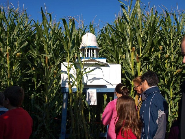 The Farm at Swans Trail