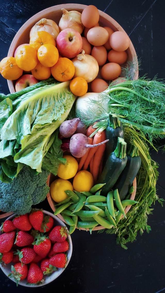 CSA farm box coldwater farm hub