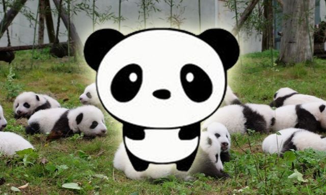 baby panda adventure story is an outschool class for kids