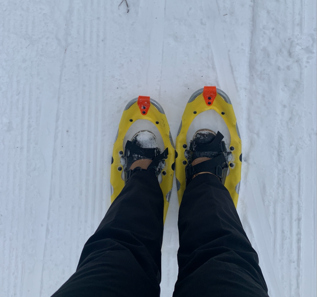 snoeshoe