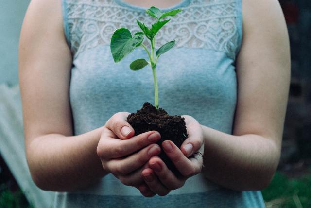 woman holding seedling