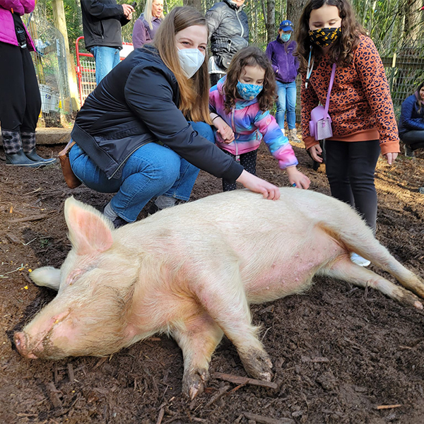 petting farms, petting zoos, animal sanctuaries seattle