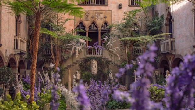 Boston Museums for kids and families include Isabella Stewart Garnder museum. This is the courtyard with purple flowers and lots of trees