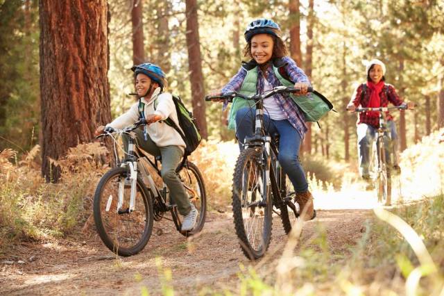A family bikes through the woods