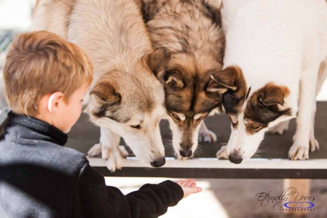 best places to see animals near LA