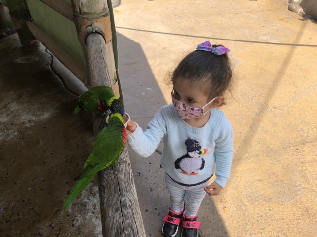 best birthday party locations in LA