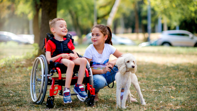 kids engaging in outdoor play