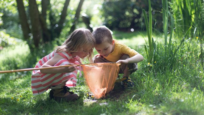 curious kids looking in a net